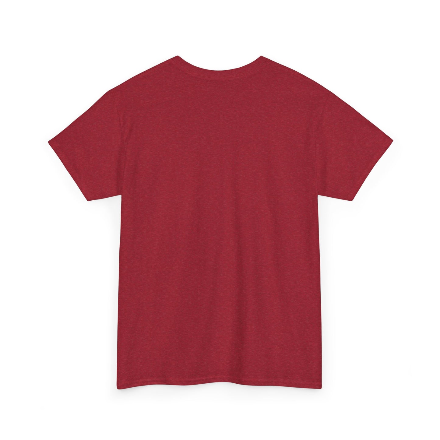 Birthday Celebration Unisex Tee - Today is my Birthday, Can I Get Free Stuff